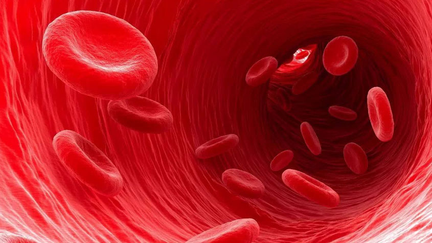 什么是血细胞分析